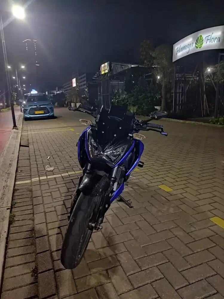 KAWASAKI NINJA Z250