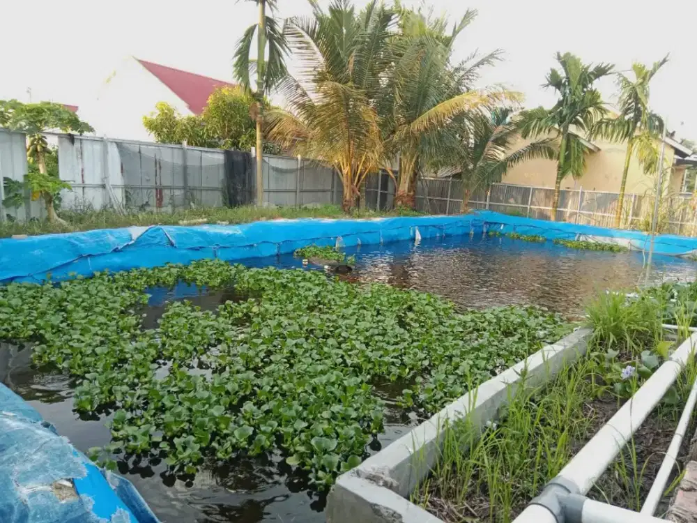 Dijual Tanah & Bangunan (Usaha pembibitan Ikan)