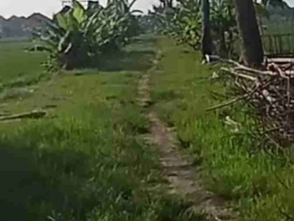 Dijual Tanah Karanganyar kota Dekat Alun2