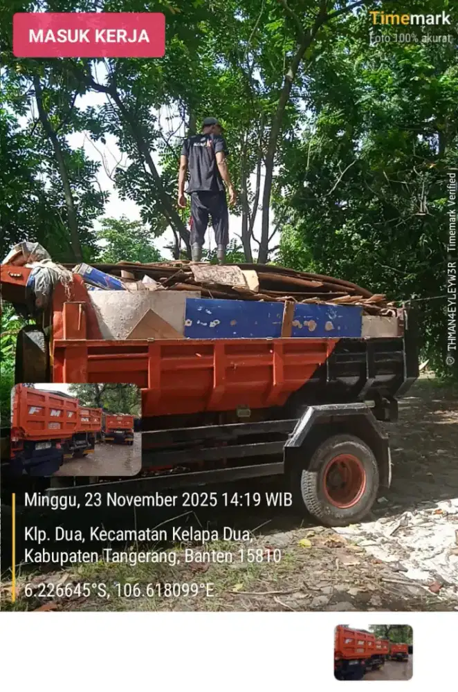 JASA BUANG PUING MURAH