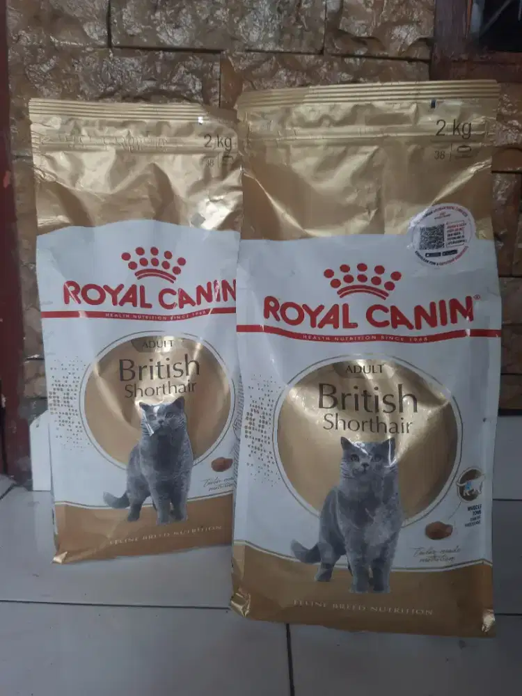 Pakan RC British Adult 2kg