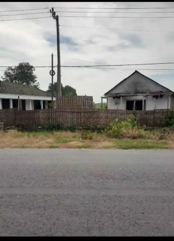 Dijual Tanah Nol Raya Sugio Lamongan – Hadap Utara, SHM