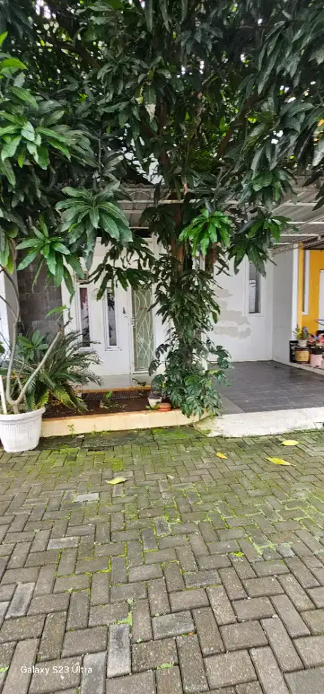 Disewakan Rumah Tengah Kota Semarang