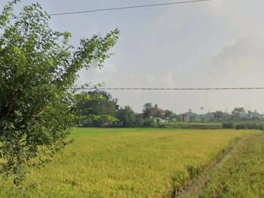 Dijual Lahan Zona Industri Lokasi Delanggu Klaten Luas 5 Hektar