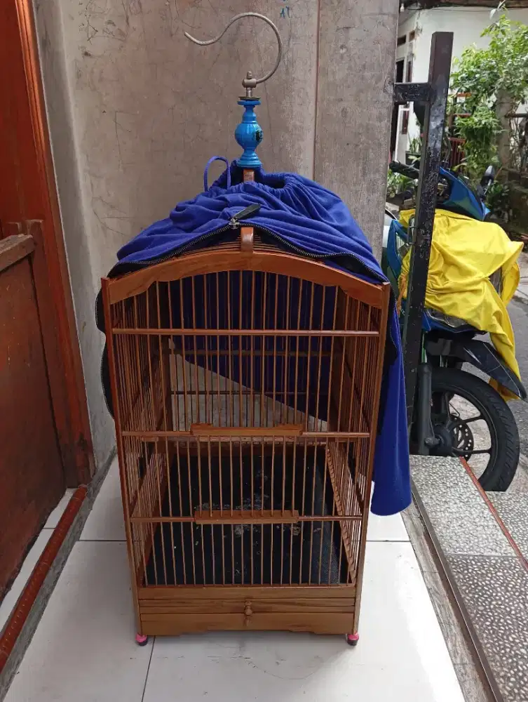 Kandang kotak ebod jati