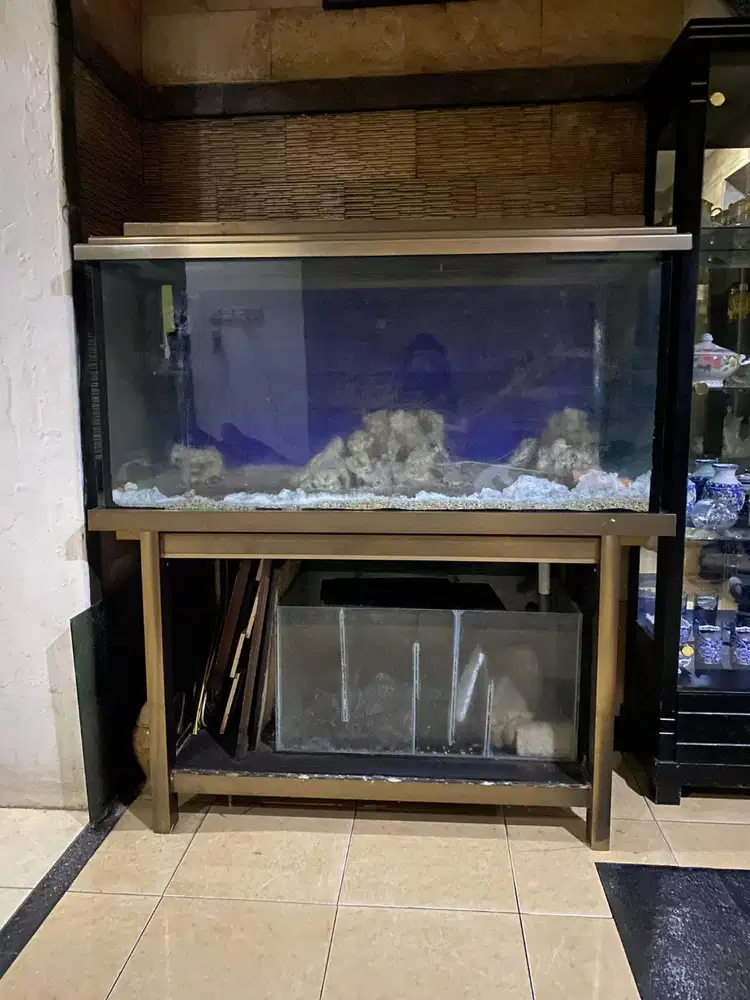 Aquarium Bagus Kuat