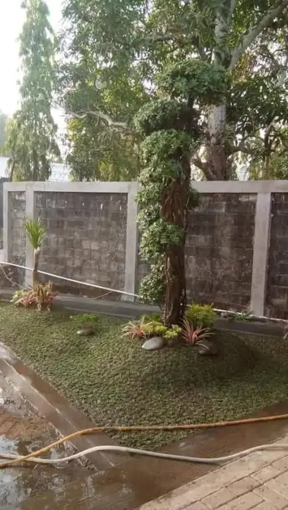 Tukang Taman area gowa makassar