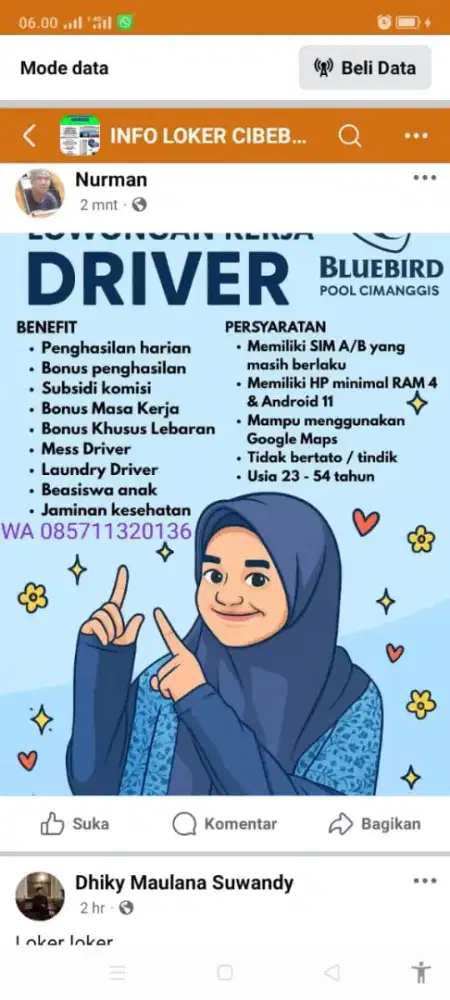 DRIVER BLUE BIRD