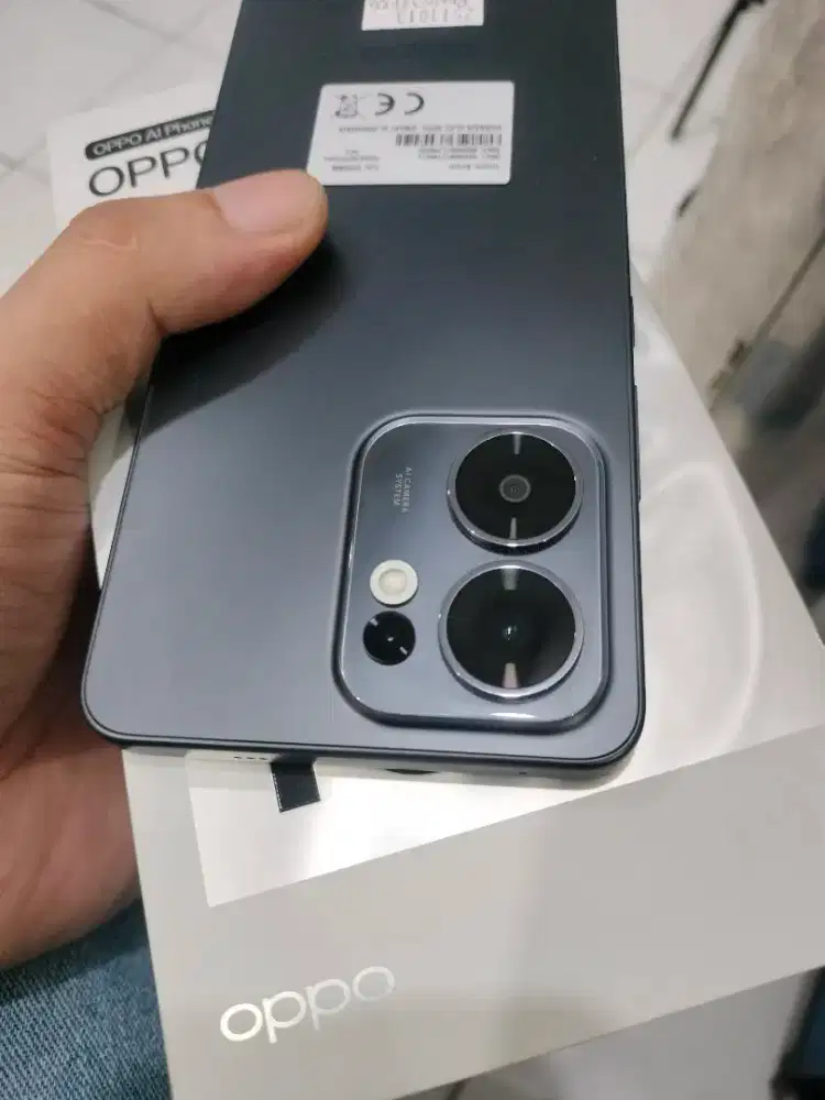 Oppo Reno 13F 5G 8/256