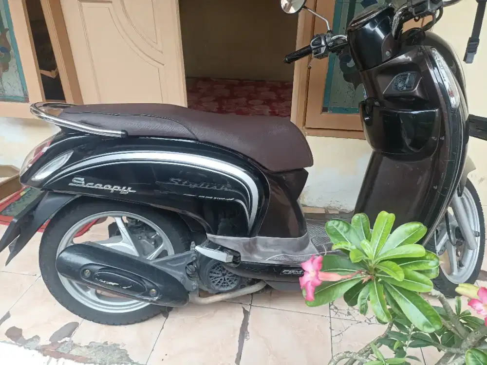 Honda Scoopy Stylish tahun 2016 Akhir