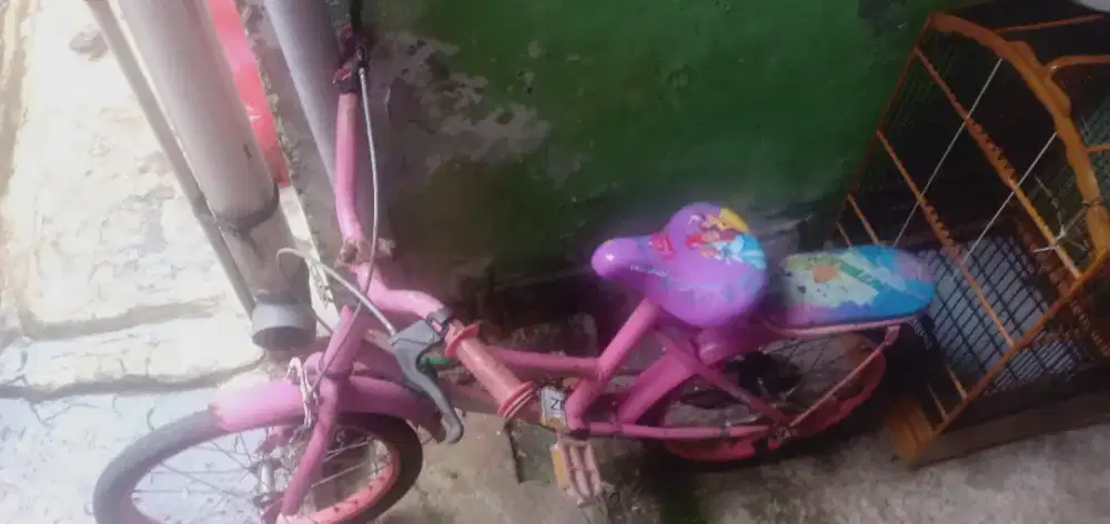 Sepeda anak perempuan ukuran 16