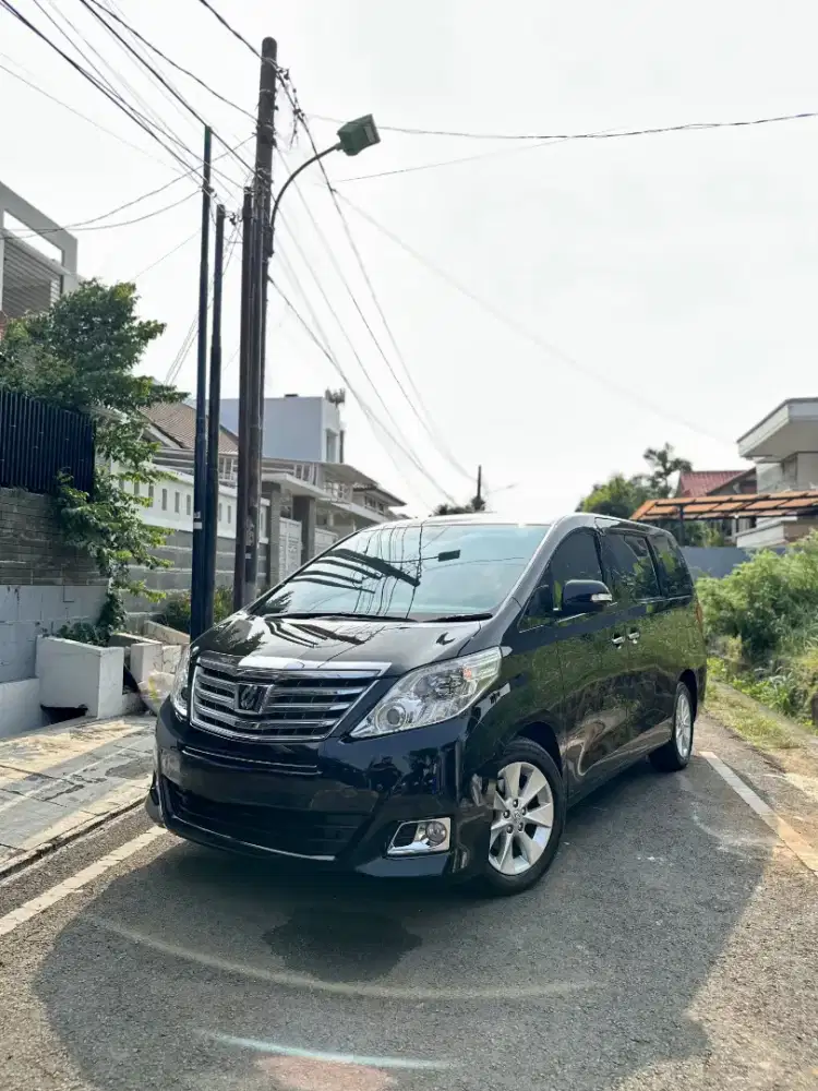 ALPHARD G ATPM 2014 (BERYLLIUM SOUND & PILOT SEAT)