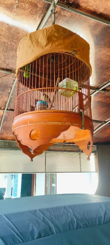 Dijual Blacktrout full set rajin bunyi