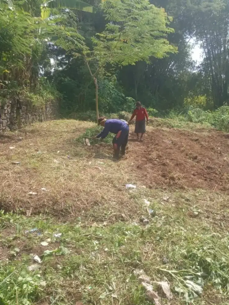 DIJUAL CEPAT TANAH SHM milik pribadi 10m x 14 m (146m²)