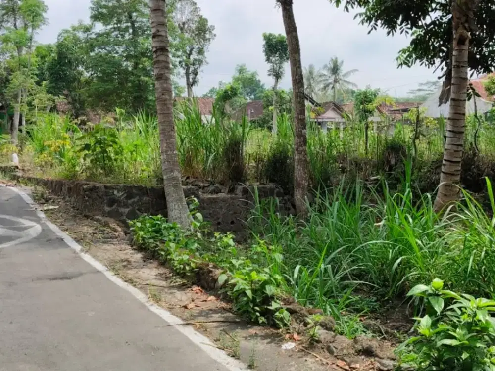 TANAH PEKARANGAN MURAH SHM DEKAT EXIT TOL MANISRENGGO