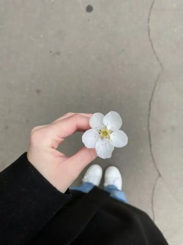 Sedang mencari pekerjaan