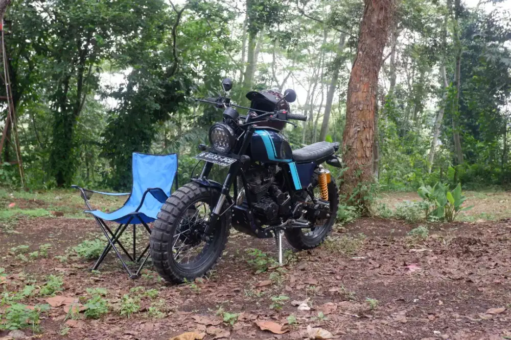 Scorpio custom scrambler