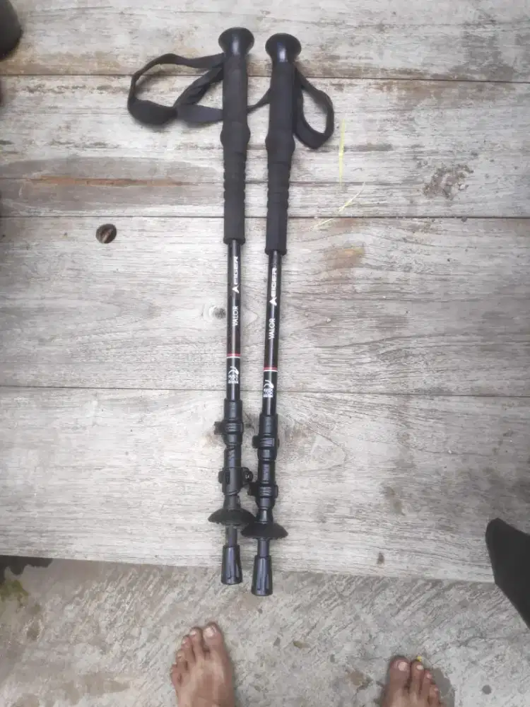 Eiger trekking pole Eiger valor