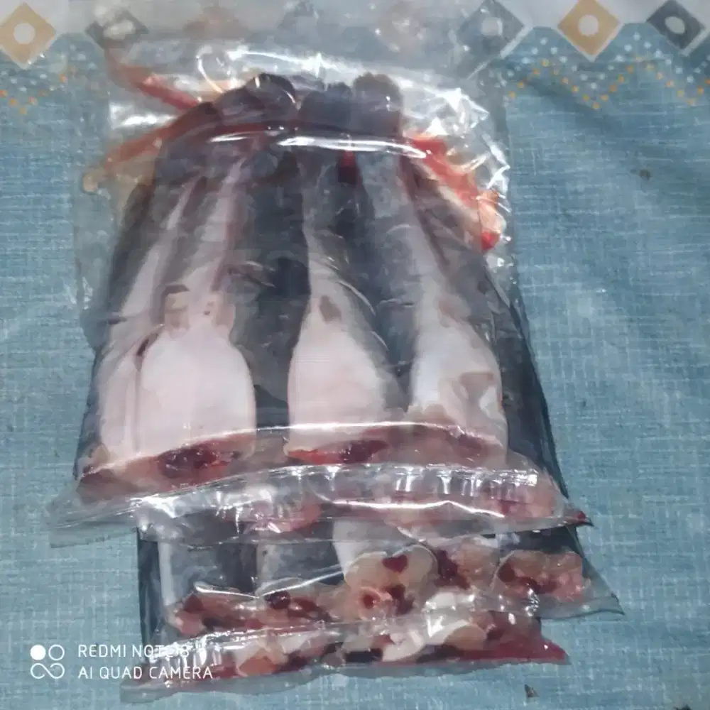 Ikan lele segar dan potong