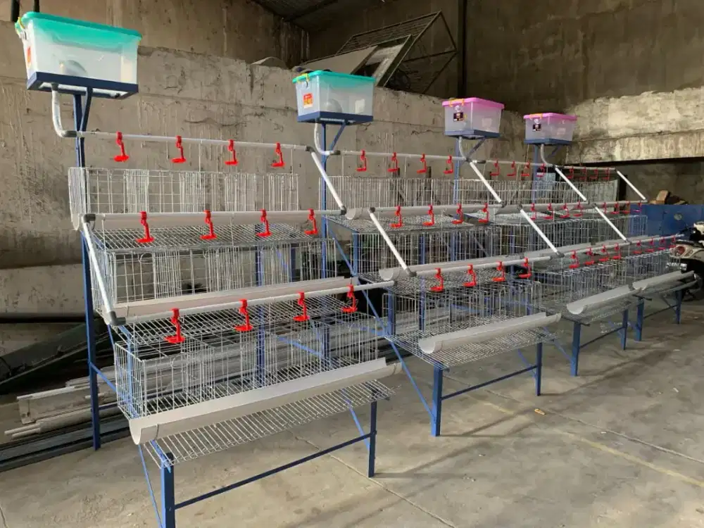 Kadang Ayam Petelur kapasitas 20 ekor