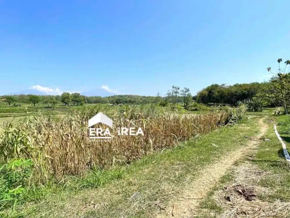 Tanah dijual Boyolali lokasi di Sambi Boyolali