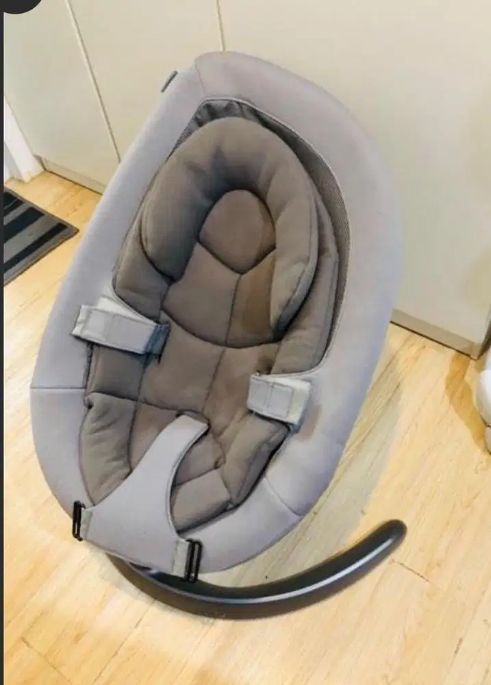 Nuna leaf bouncer grow