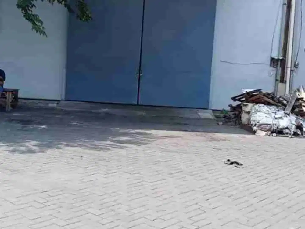 Dkt Tol Margomulyo, Dkt Romokalisari Pergudangan Mutiara Tambak Langon Sby lokasi dpn Row 18 mtr