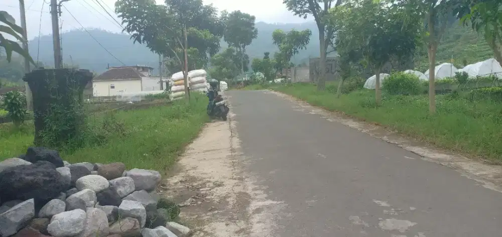 Tanah Batu 0 Jalan Aspal View  hutan perbukitan