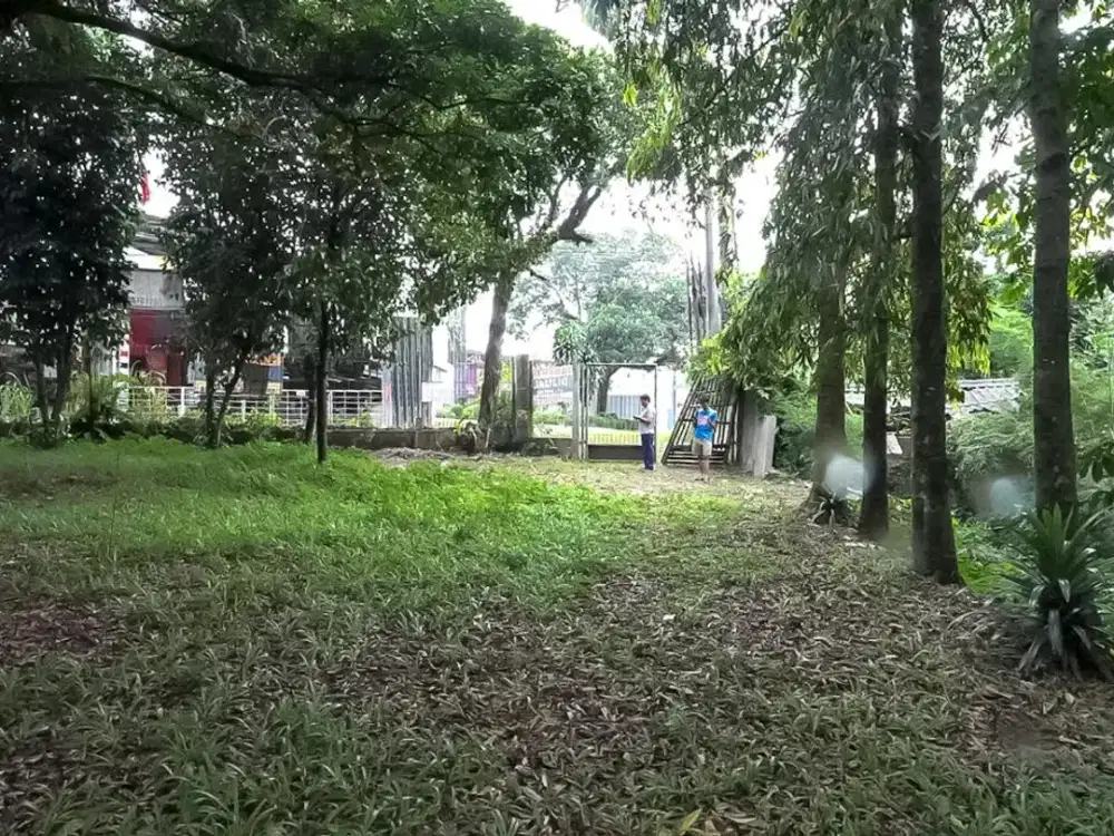 DIJUAL TANAH KEBUN DI JALAN ARCO RAYA.