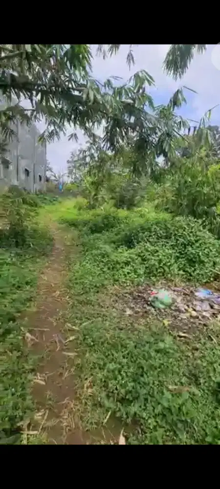 Dijual Tanah Strategis 1.365 m² di Langensari, Ungaran Barat