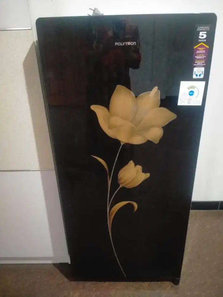 Kulkas 1 pintu Polytron
