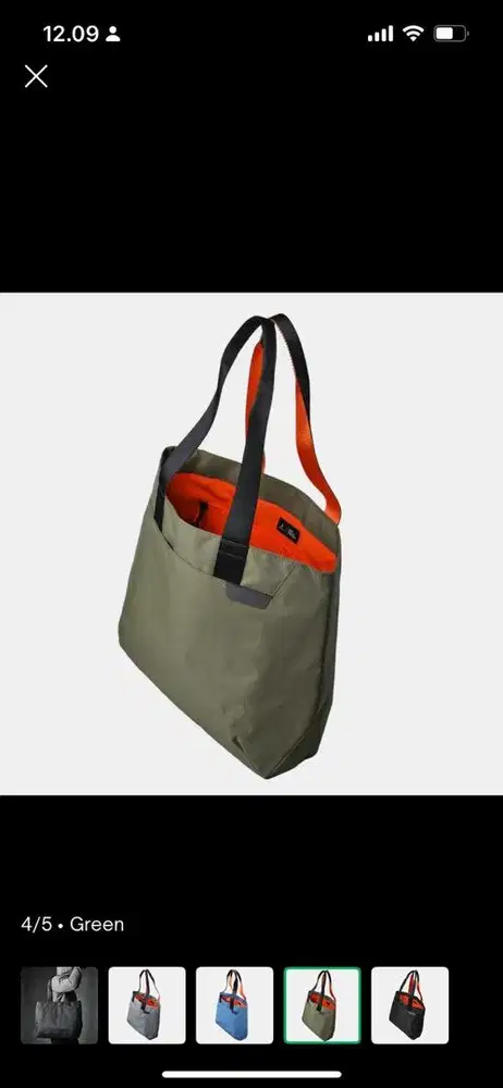 Alpaka totebag green