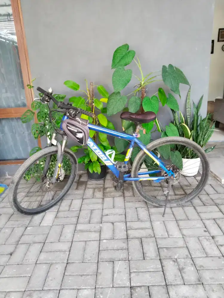 Sepeda MTB Bekas