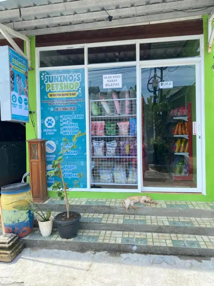 Pakan hewan anabul kucing maupun anjing