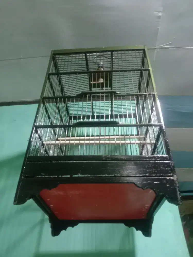 Sangkar jati no 2 layak pakai