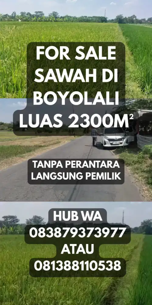 DIJUAL CEPAT!!! Tanah Sawah Subur Siap Panen – Lokasi Strategis