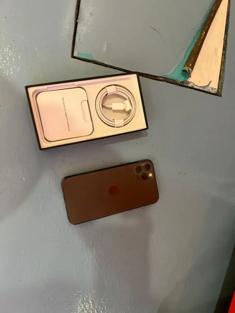 iphone 11 pro max 256gb member new green