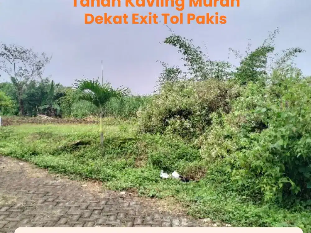 Tanah Kavling Murah area Pakis