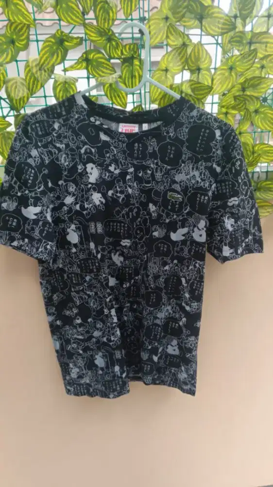 Lacoste asli 100% guarantee