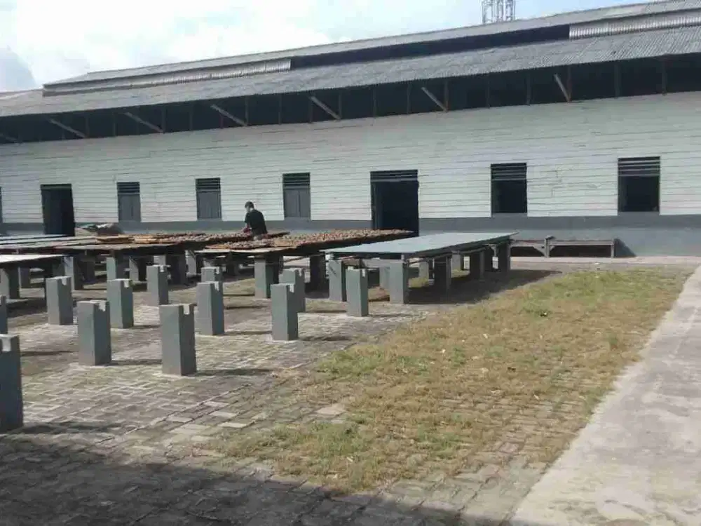 Di Jual Cepat Gudang Ex Pabrik Siao Pakai Hitung Tanah Saja Di Tegal Alur