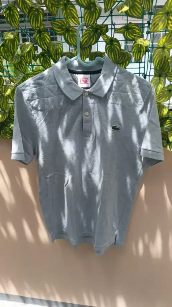 Lacoste asli 100% guarantee