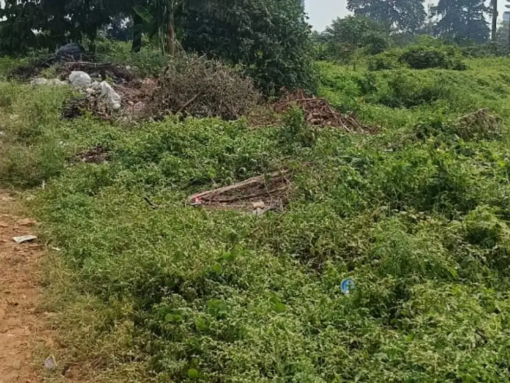 Disewakan  Tanah seluas 2ha an di Kelapa Dua