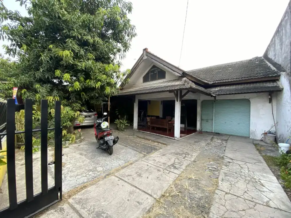 rumah strategis di dekat jalan sambiroto raya cocok untuk usaha