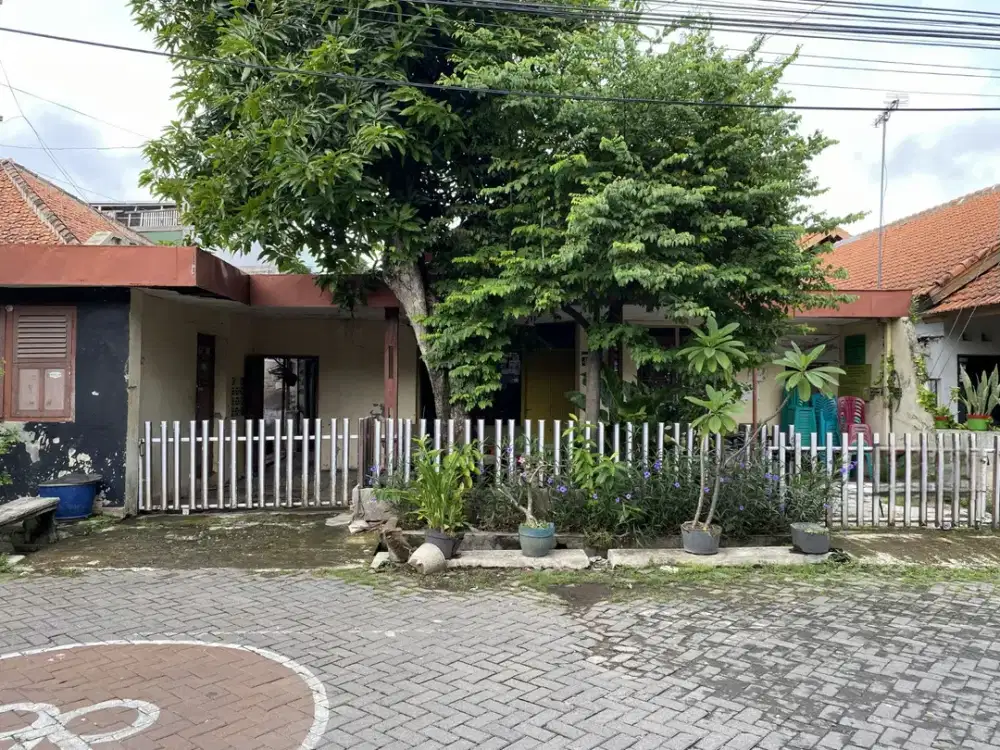Rumah lama di pleburan dekat undip pleburan cocok dibangun rumah kost