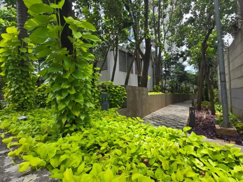 Apartemen Lexington Residence full furnish siap pakai