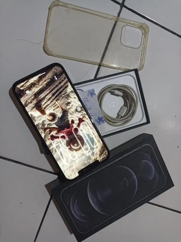 Iphone 12 promax 128gb inter