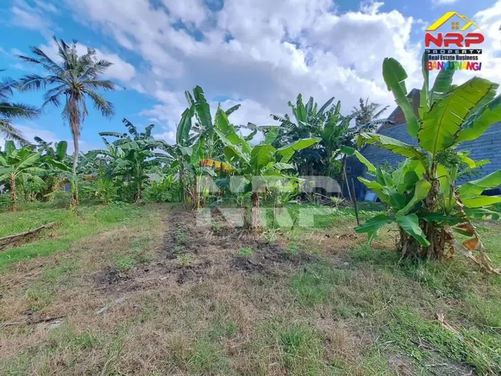 Tanah Murah Dijual di Sobo Banyuwangi – Tengah Kota, SHM, Harga 100 Jutaan