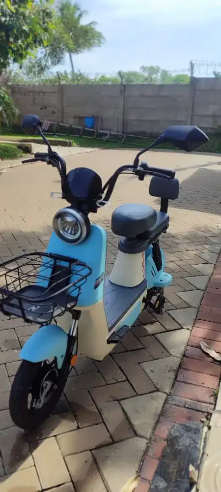 Sepeda listrik Pacific Relicus