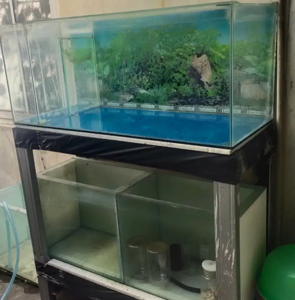 Aquarium 1 set + rak