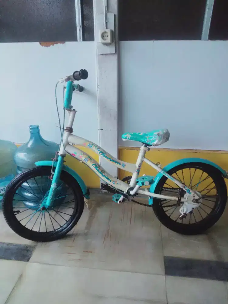 Sepeda Anak cewek